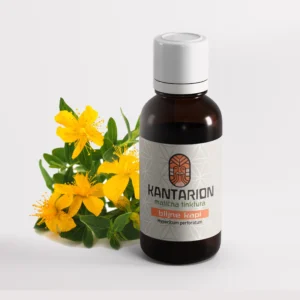 Kantarion (Hypericum perforatum L.)