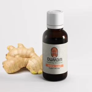Đumbir (Zingiber officinale) biljne kapi 100ml